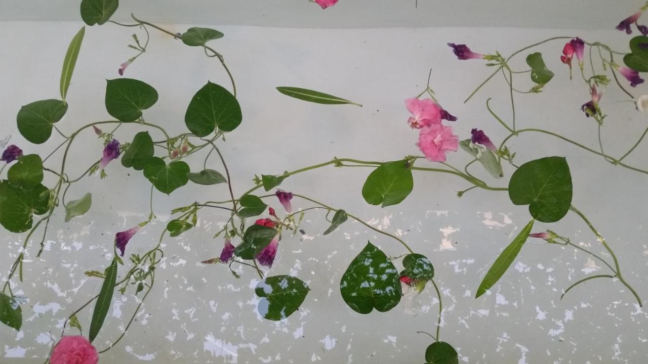 그라나다 카사 뱀부 아파트 외부 사진